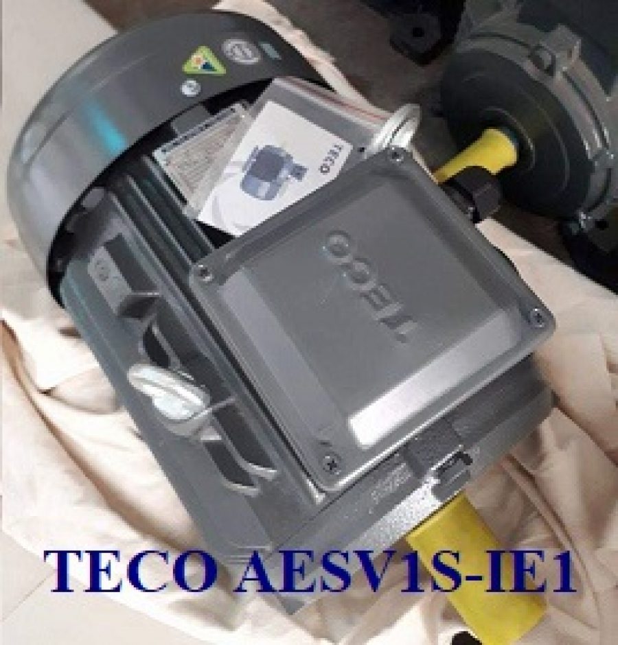 ĐỘNG CƠ CHÂN ĐẾ TECO AESV1S -4P-1HP-220/380V