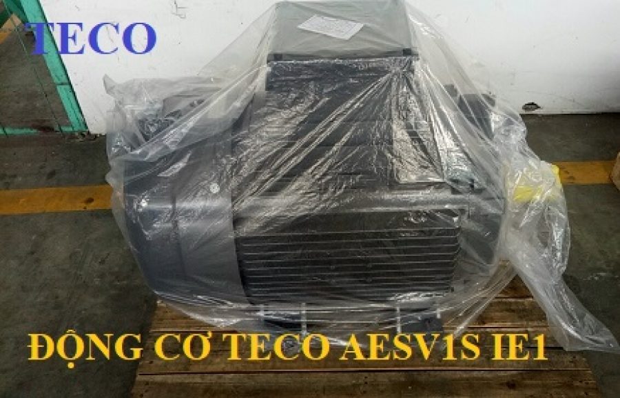 ĐỘNG CƠ CHÂN ĐẾ TECO AESV1S -4P- 40HP-380/660V
