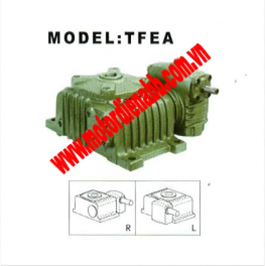 HỘP SỐ YEONI TFEA