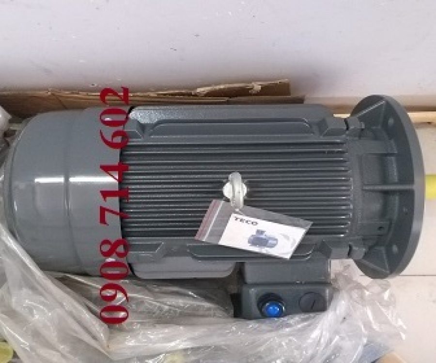 ĐỘNG CƠ MẶT BÍCH TECO AESU1S -4P-1HP-220/380V-IE1