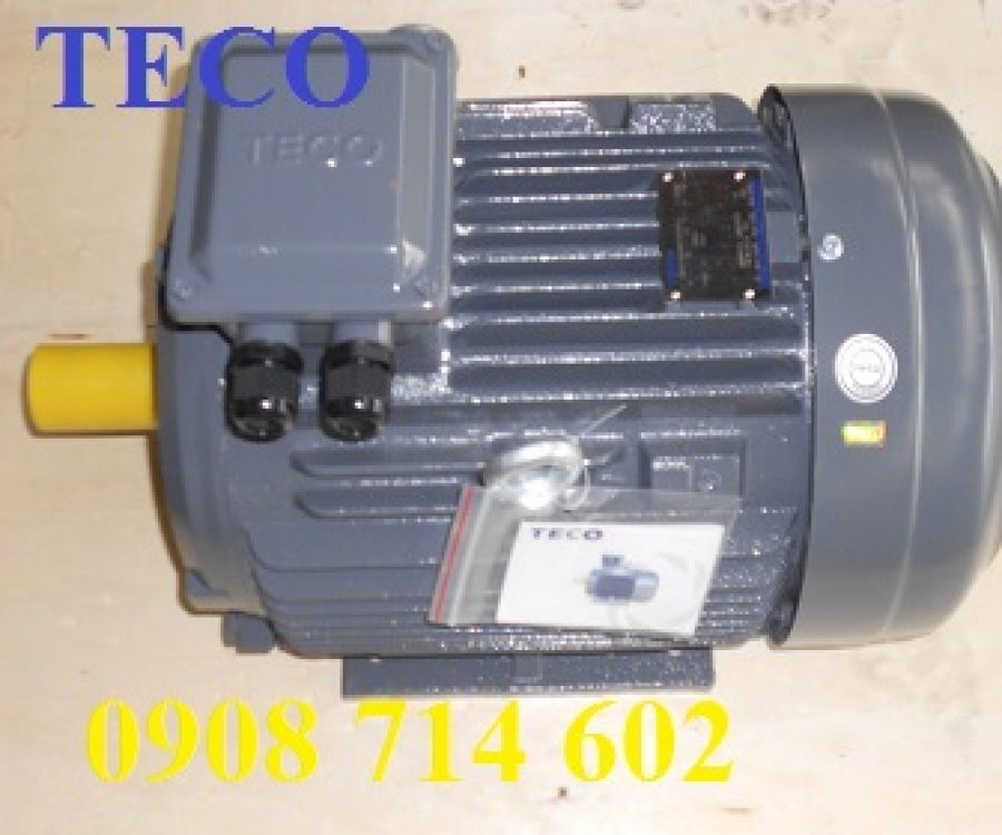 ĐỘNG CƠ CHÂN ĐẾ TECO AESV1S -4P- 10HP-380/660V