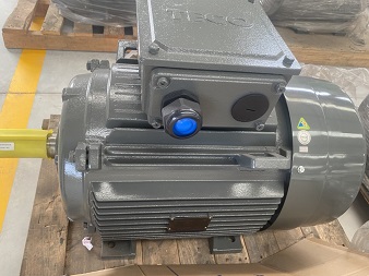 MÔ TƠ TECO AESV2U-4P-60HP-380/660V