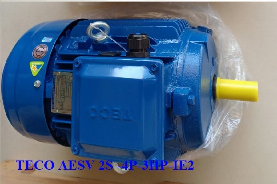ĐỘNG CƠ CHÂN ĐẾ TECO AESV2S -4P- 15HP-380/660V-IE2