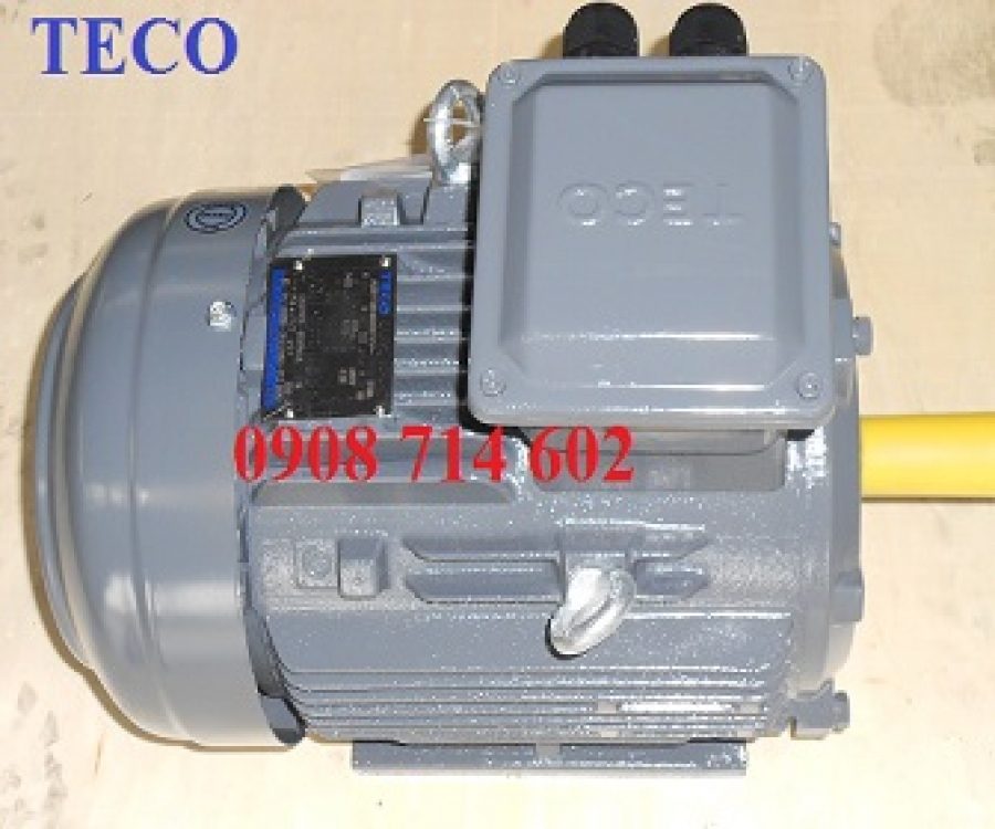 ĐỘNG CƠ CHÂN ĐẾ TECO AESV1S -4P- 7.5HP-380/660V-IE1