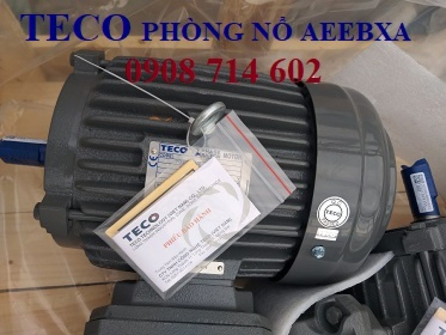 ĐỘNG CƠ PHÒNG NỔ TECO EG3 AEEBXA -4P- 11KW/15HP- 380/660V