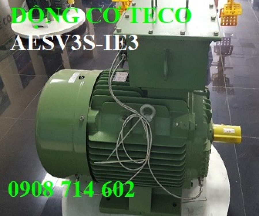 ĐỘNG CƠ CHÂN ĐẾ TECO AESV3S -4P-2HP-220/380V-IE3