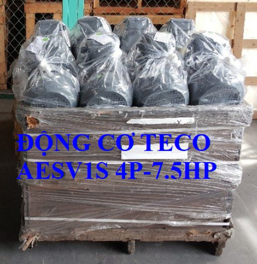 ĐỘNG CƠ CHÂN ĐẾ TECO AESV1S -4P- 7.5HP-380/660V
