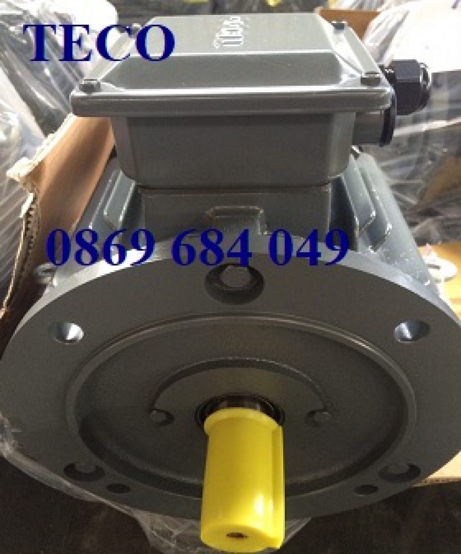 ĐỘNG CƠ MẶT BÍCH TECO AESU1S -4P- 60HP-380/660V-IE1