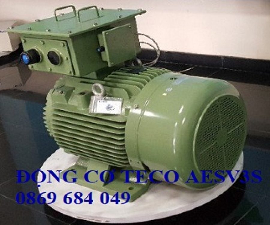 ĐỘNG CƠ CHÂN ĐẾ TECO AESV3S -4P- 40HP-380/660V-IE3
