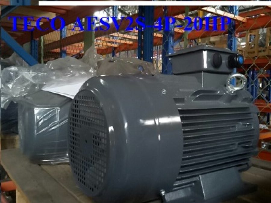 ĐỘNG CƠ CHÂN ĐẾ TECO AESV2S -4P- 60HP-380/660V-IE2