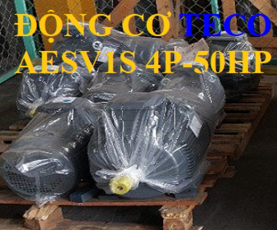 ĐỘNG CƠ CHÂN ĐẾ TECO AESV1S -4P- 60HP-380/660V