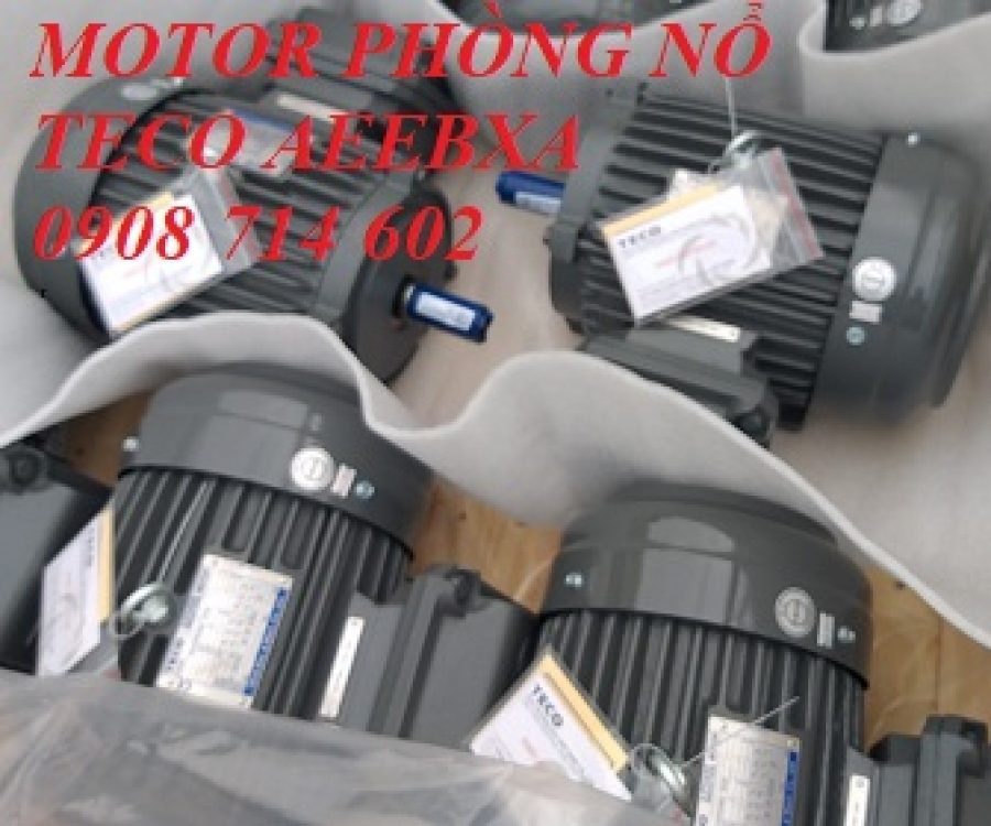 ĐỘNG CƠ PHÒNG NỔ TECO EG3 AEEBXA -4P- 2HP-220/380V
