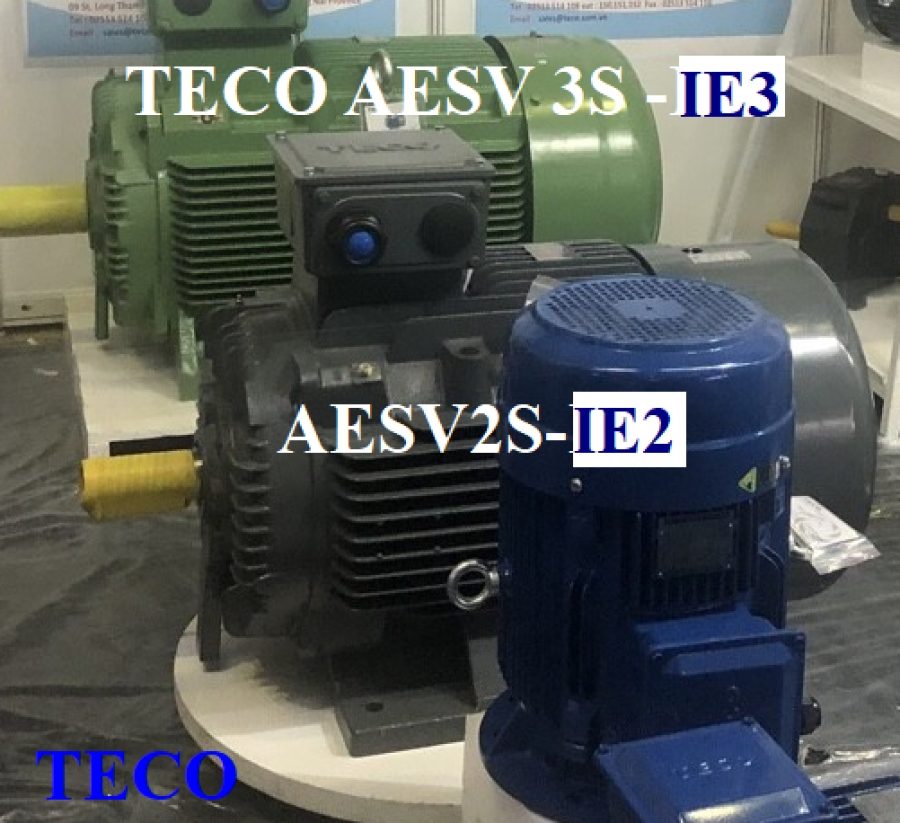 ĐỘNG CƠ CHÂN ĐẾ TECO AESV2S -4P- 100HP-IE2-380/660V-IE2