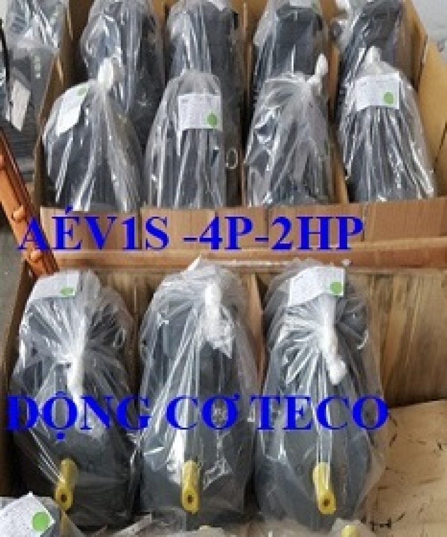 ĐỘNG CƠ CHÂN ĐẾ TECO AESV1S -4P-2HP-220/380V