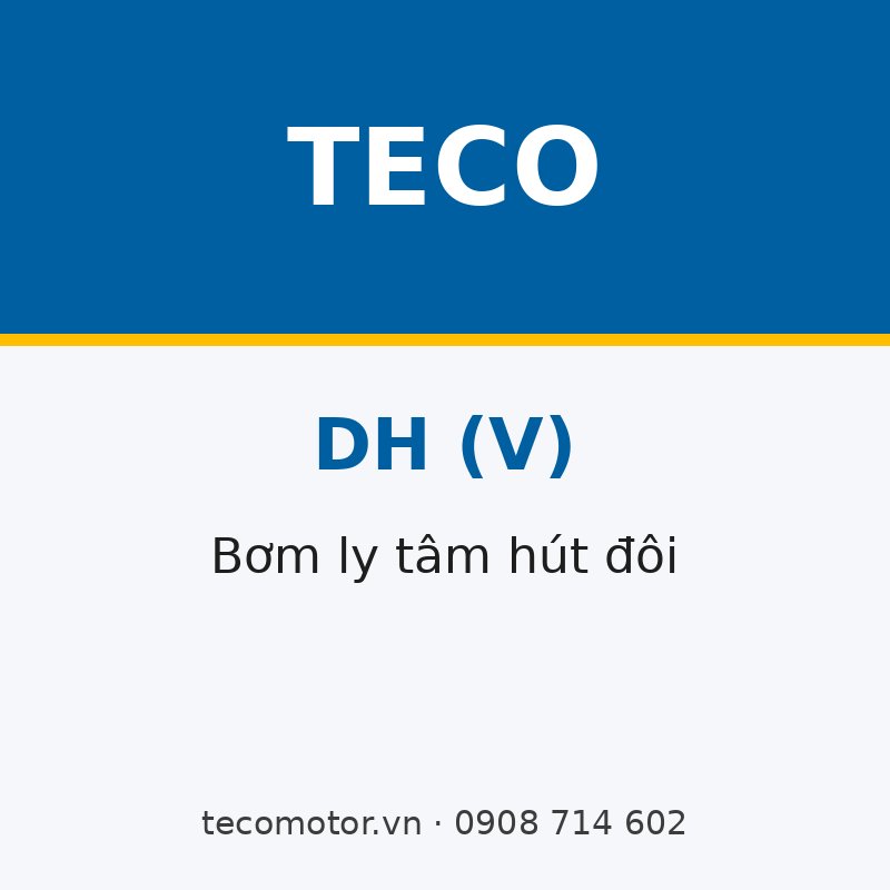 BƠM LY TÂM HÚT ĐÔI TECO DH(V) LẮP ĐỨNG