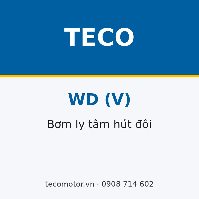 BƠM LY TÂM HÚT ĐÔI TECO WD(V) LẮP ĐỨNG