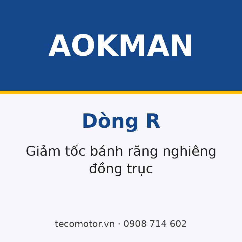HỘP GIẢM TỐC AOKMAN DÒNG R – BÁNH RĂNG NGHIÊNG ĐỒNG TRỤC