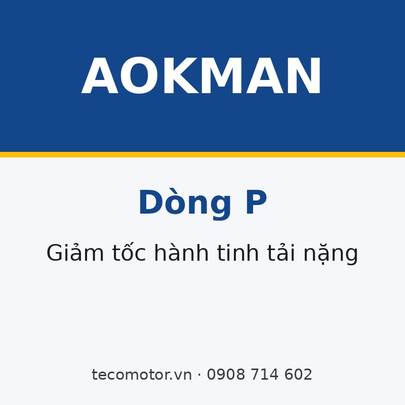 HỘP GIẢM TỐC HÀNH TINH TẢI NẶNG AOKMAN DÒNG P
