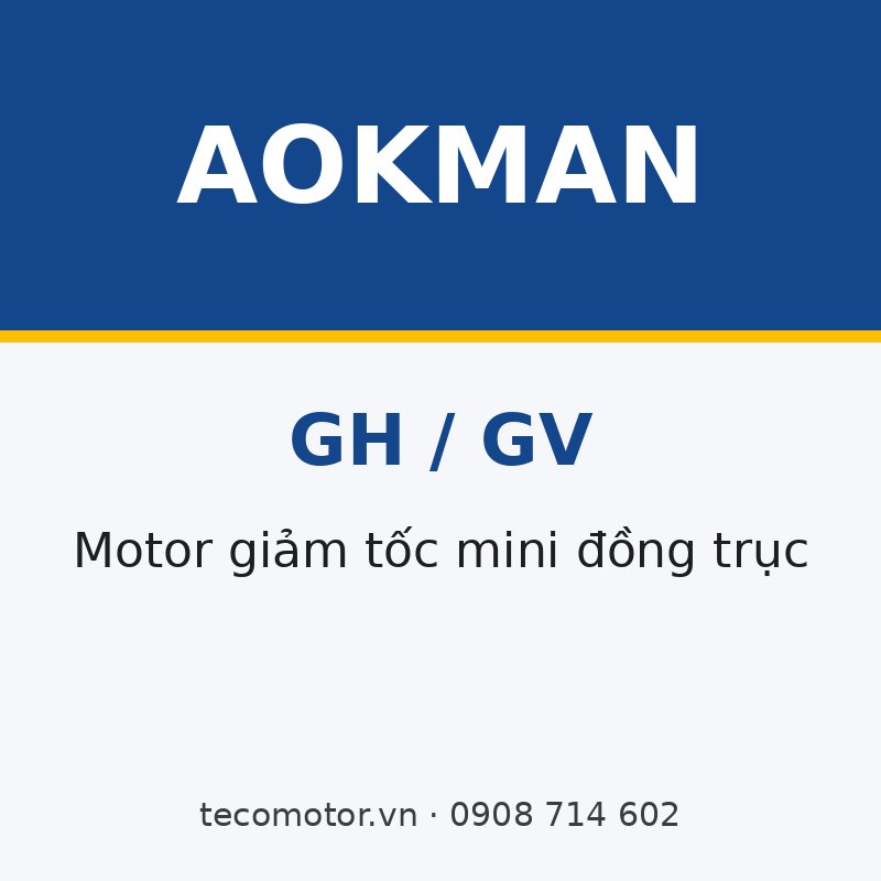 MOTOR GIẢM TỐC MINI AOKMAN GH/GV