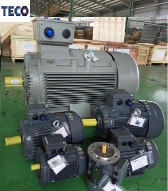 MÔ TƠ TECO AESV2U-4P-0.75KW/1HP-380V