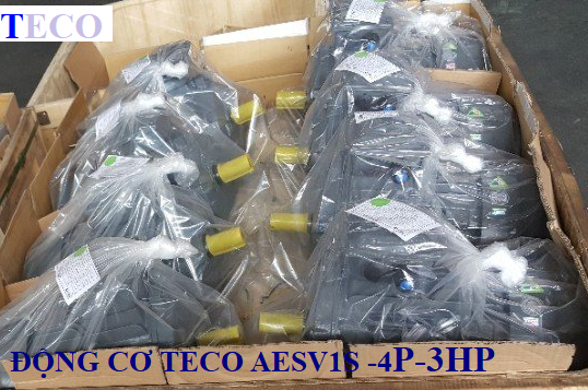 ĐỘNG CƠ CHÂN ĐẾ TECO AESV1S -4P- 3HP-220/380V